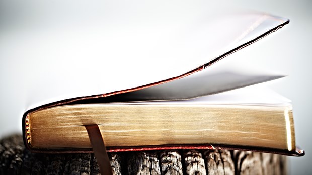 3 Lies We Believe About the Bible