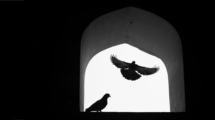 Pentecost Breeze Pentecost Breeze