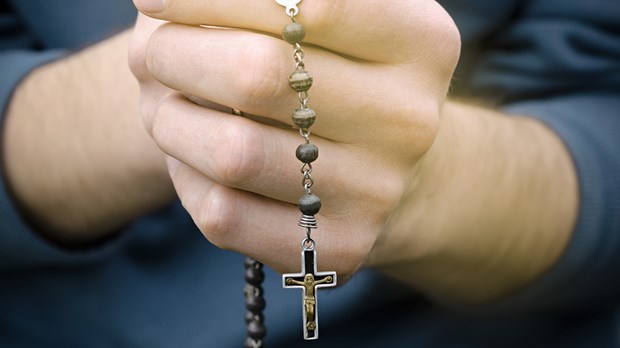 Venerate Mary? Venerate Mary?