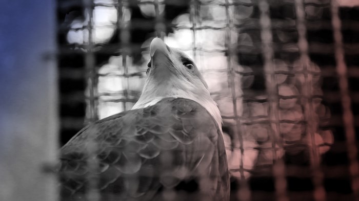 The Fragility of Freedom in the West The Fragility of Freedom in the West