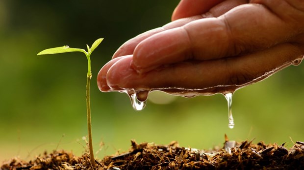10 Ways to Celebrate Earth Day 10 Ways to Celebrate Earth Day