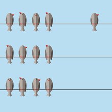 Single vs. Small Group Single vs. Small Group
