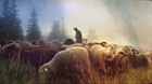 The Glory of Fathers Who Stink The Glory of Fathers Who Stink
