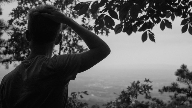 The Power and Beauty of Lament The Power and Beauty of Lament