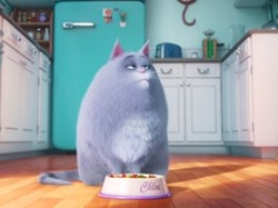 'The Secret Life of Pets' 'The Secret Life of Pets'