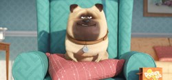'The Secret Life of Pets' 'The Secret Life of Pets'