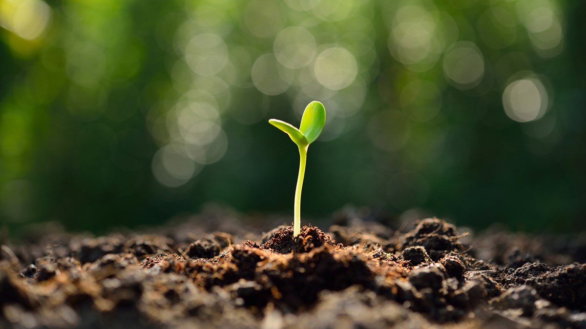 My Top 10 Church Planting Tips CT Pastors Christianity