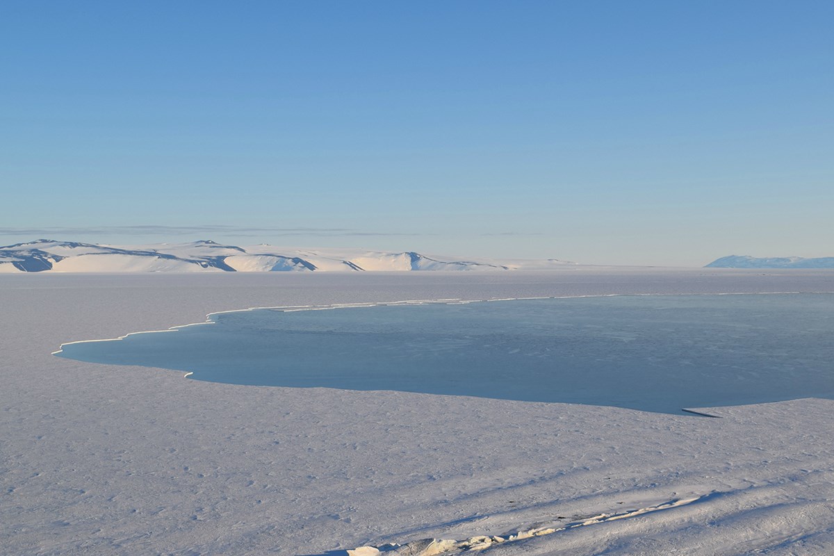 The open Ross Sea meets the edge of the sea ice and, in the distance, the Ross Ice Shelf with White Island on the left and Black Island on the right. This photo was taken near 4 a.m. in February, when orcas and minke whales are commonly seen hunting and feeding in these waters. 