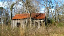 'Hillbilly Elegy' Hits Close to Home 'Hillbilly Elegy' Hits Close to Home