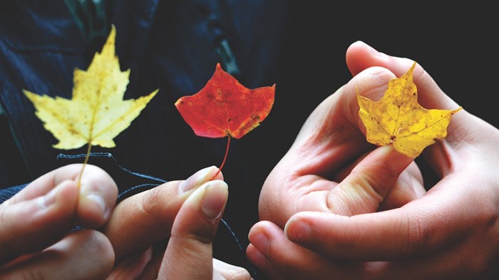 3 Secrets of Leadership Training 3 Secrets of Leadership Training