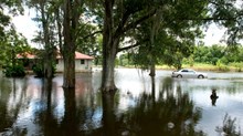 A Lament for Louisiana After the Floods