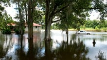 A Lament for Louisiana After the Floods A Lament for Louisiana After the Floods