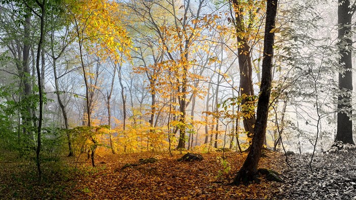 Seasons Change Seasons Change