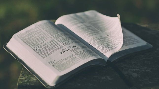 Biblical Theology and the Pastor Biblical Theology and the Pastor