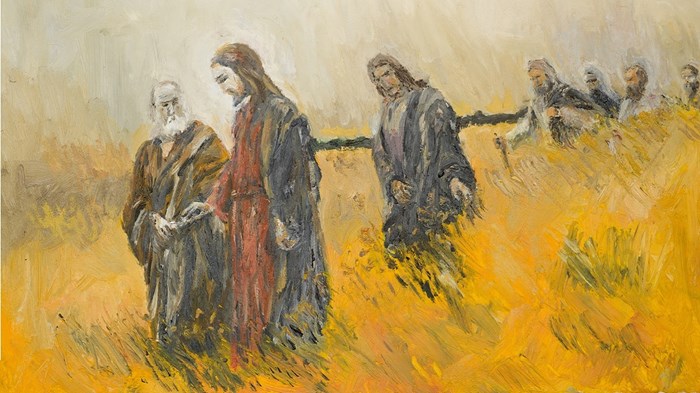 The Odd Teamwork of Jesus The Odd Teamwork of Jesus