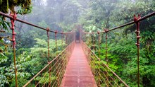 Why Conservation Is a Gospel Issue Why Conservation Is a Gospel Issue