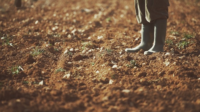You Are the Manure of the Earth You Are the Manure of the Earth