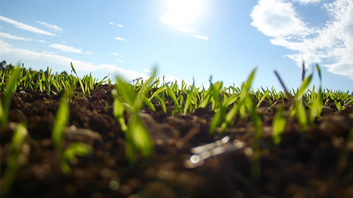 100 Episodes on Church Planting and Multisite 100 Episodes on Church Planting and Multisite