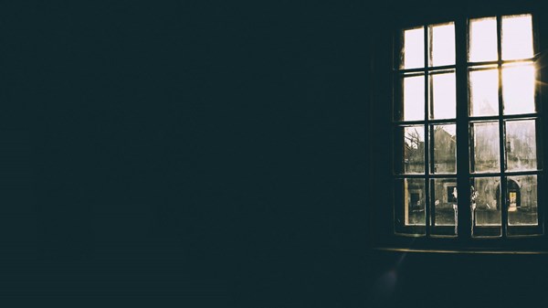 Window Watching Window Watching