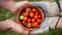 How a Farm-to-Table Restaurant Evolved into a Homegrown Church How a Farm-to-Table Restaurant Evolved into a Homegrown Church