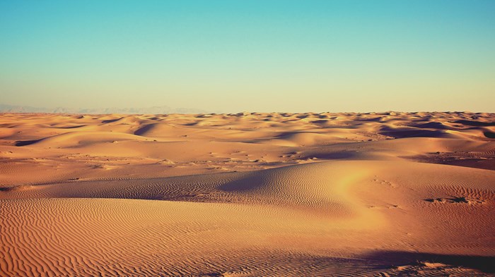 Surviving the Wasteland of Faith Surviving the Wasteland of Faith