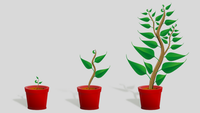 Increasing Evangelism in Church Planting