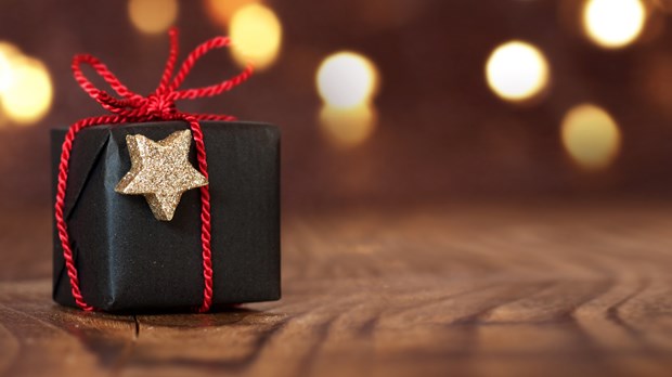 Female Insights into the Christmas Story Female Insights into the Christmas Story