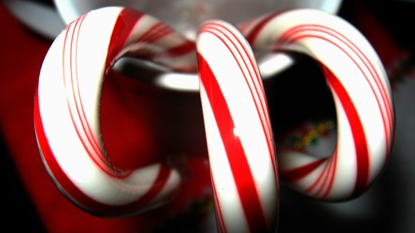 Interesting Facts about the Candy Cane's Meaning and Origin