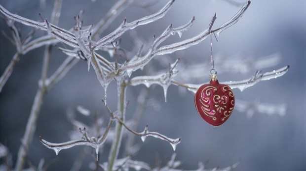 Merry ... Advent? Merry ... Advent?