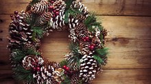 Festive Flora Festive Flora