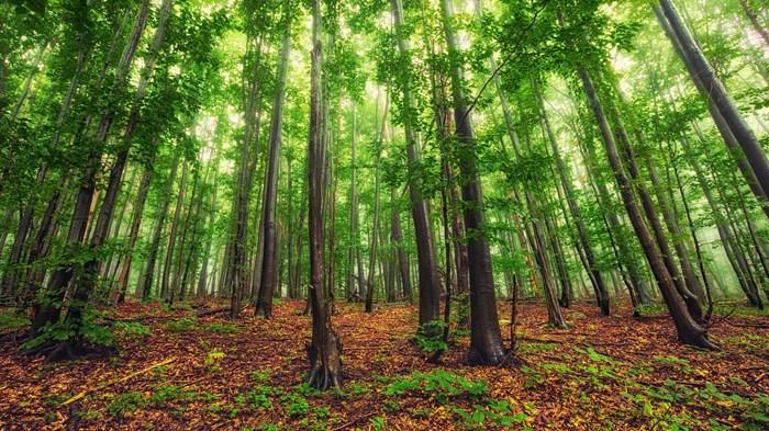 Spiritual Growth for Church Leaders Spiritual Growth for Church Leaders