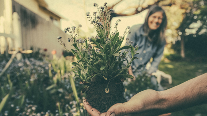 Three Church-Planting Practices That Need To Die Three Church-Planting Practices That Need To Die