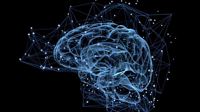 Know Brain, Know Gain Know Brain, Know Gain