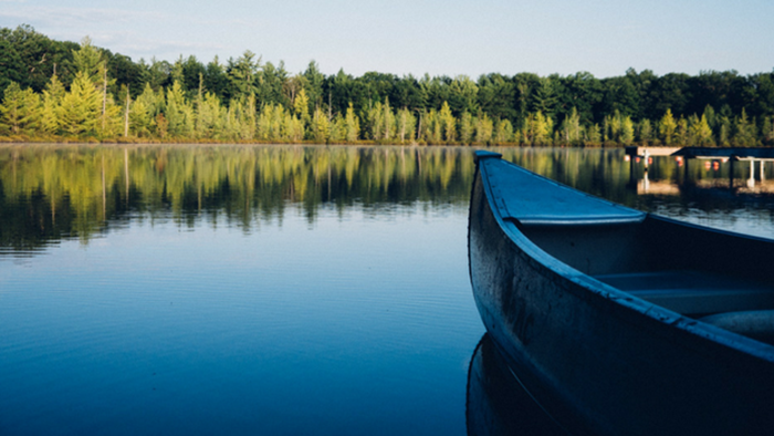 Weekend Edition - January 20, 2017