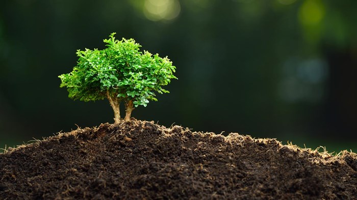 Seven Reasons to Lead Your Church in Church Planting