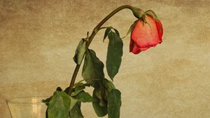 Embracing Valentine’s Day Disappointment Embracing Valentine’s Day Disappointment