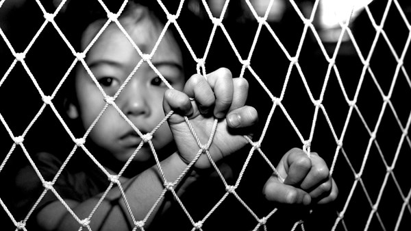 The Justice Generation The Justice Generation