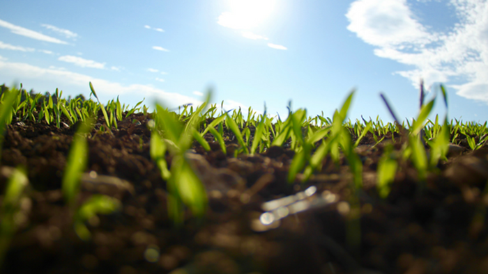 Cities and Multiculturalism: Two Trends in Church Planting Today Cities and Multiculturalism: Two Trends in Church Planting Today