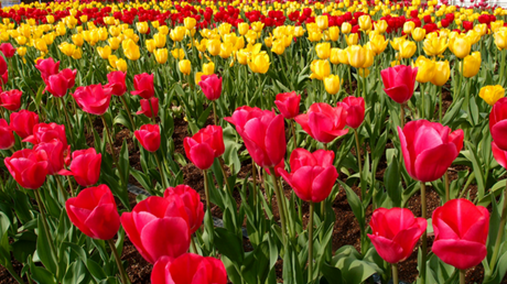 The Importance of a Welcoming Church Environment for Newcomers