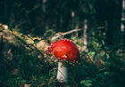 How Nature Can Help Your Relationship with God How Nature Can Help Your Relationship with God