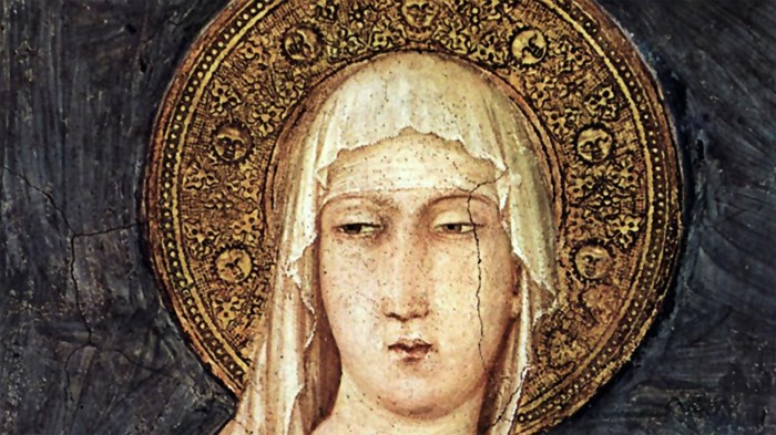 Francis’s Tenacious Lady Francis’s Tenacious Lady
