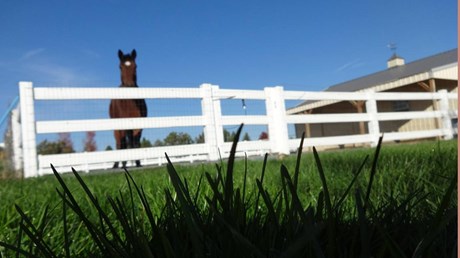 Better Starts for Emerging Leaders