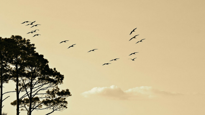 3 Keys to Protecting Your Leadership Credibility 3 Keys to Protecting Your Leadership Credibility