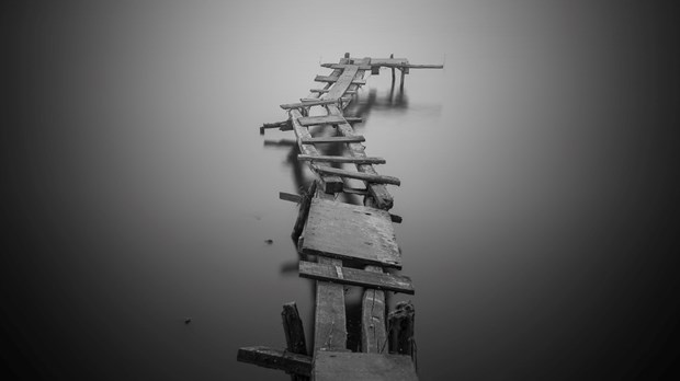 Why Does God Leave His People in Pain? Why Does God Leave His People in Pain?