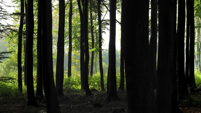 Why Churches Lose Their Way Why Churches Lose Their Way