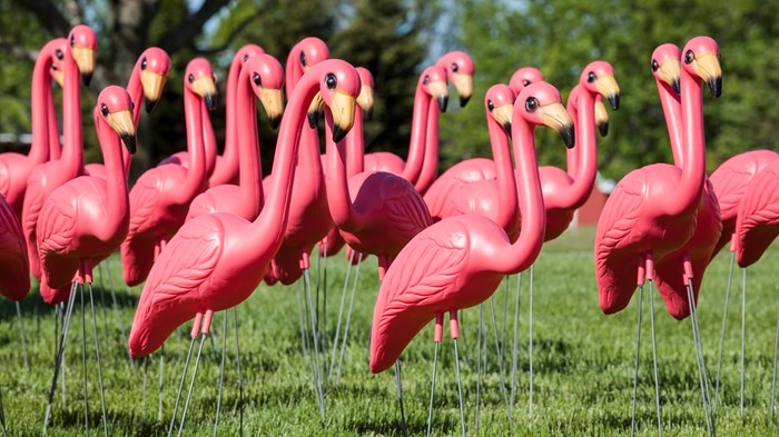 Quick Tip for VBS Promotion: "Flamingo" Marketing