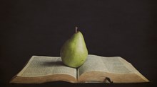 Sarah Ruden’s Rebellion Against Our ‘Just the Facts’ Bibles