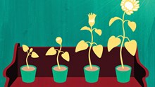 The Church's Biggest Challenge in 2017 The Church's Biggest Challenge in 2017
