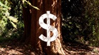 Wise Up About Money Wise Up About Money