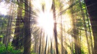 Making Room for God to Burst Forth in Your Life Making Room for God to Burst Forth in Your Life